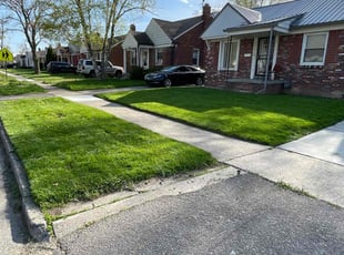 Nayalin E.'s Lawn Mowing service result