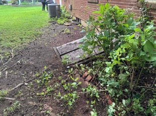 Leaf Removal by Norberto Soto for Trina R. in Wilmington, DE