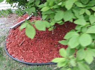 Mulching by Kevin Rhyne for Mark G. in Madison, WI