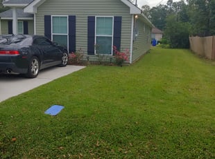 Leaf Removal by Emily Fontenot for Alexis D. in Slidell, LA