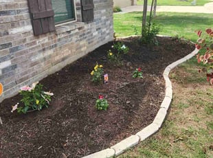 Landscaping by Jason Williams for Benjamin L. in Fort Worth, TX