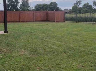 Ether T.'s Grass Cutting service result