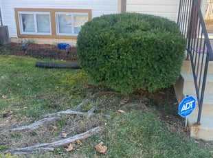 Bush Trimming by Delvon Jones for Allegra F. in District Heights, MD