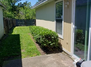 Bush Trimming by Teresa Ellis for Cody and Elaynie Y. in Jacksonville, FL