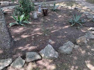 Weeding by Jeronimo Barrientos for Irene S. in Manchaca, TX