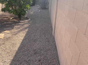 Leaf Removal by Michael Rizzo for Bailey M. in Mesa, AZ