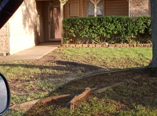 Bush Trimming by Caleb Vallejo for Kamron M. in Fort Worth, TX