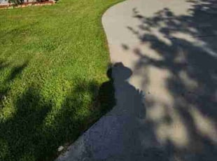 Rhonda M.'s Lawn Mowing Service service result