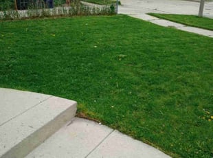 Heidi M.'s Yard Cutting service result