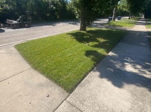 Alandra H.'s Yard Cutting service result
