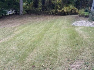 Angelo C.'s Lawn Mowing service result