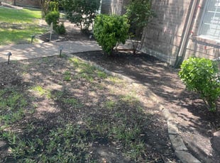 Erin E.'s Flower Bed Weeding service result