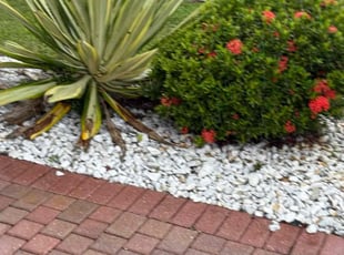 Weeding by Charles Walton for Andrew S. in Boynton Beach, FL