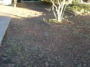 Leaf Removal by Devon Shepard for Judy H. in Gastonia, NC
