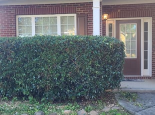 Bush Trimming by Chris Towery for Ericka D. in Lawrenceville, GA