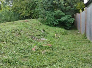 Leaf Removal by "Buddy" Johnson for Trellis A. in Atlanta, GA