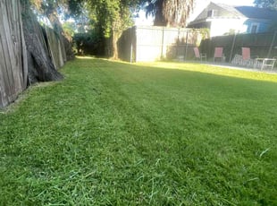 Ken S.'s Lawn Service service result