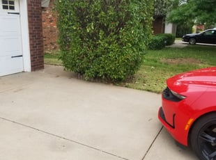 Bush Trimming by James Jarrell for Rick S. in Oklahoma City, OK