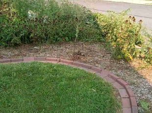 Cleanups by James Hamilton for Ashley V. in Omaha, NE