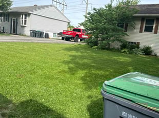 Lynn S.'s Grass Cutting service result