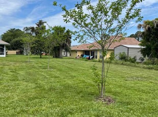 Sara N.'s Lawn Service service result