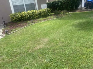 Kimberly S.'s Bush Trimming service result