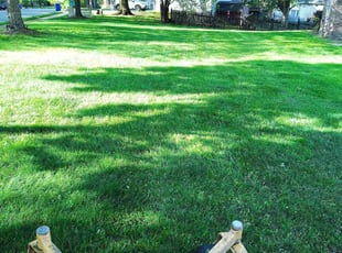 Daniel D.'s Lawn Mowing Service service result
