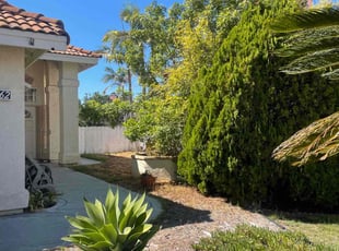 Bush Trimming by Richard Clark for Elliot H. in San Diego, CA