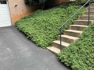 Weeding by Luiz Gosling De Oliveira for Raymond H. in Rockville, MD