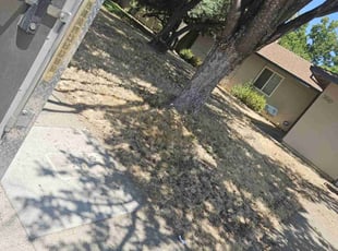 Cleanups by Juan Rodriguez for Desi W. in Sacramento, CA