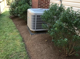 Mulching by Angel P. for lee h. in Arlington, VA