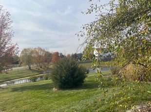 Mark P.'s Lawn Service service result