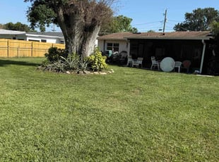 Patresa T.'s Yard Cutting service result