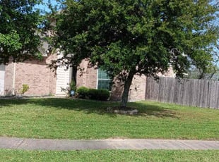 Khoi L.'s Yard Cutting service result