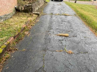 Leaf Removal by Vincent Daniele for Josie L. in Pittsburgh, PA