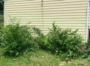 Weeding by Jacob Enderle for Sheldon S. in Cincinnati, OH