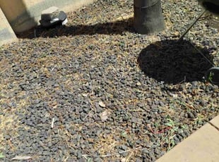 Weeding by Katrina Keener for Rosemary H. in Tracy, CA