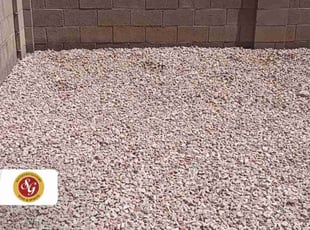 Weeding by Carl Smith for Dina M. in Phoenix, AZ