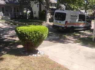 Bush Trimming by Bryan Robles for Tricia M. in Pennsauken Township, NJ