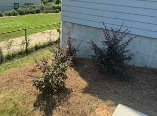 Weeding by Terrance Flowers for Ro S. in Charlotte, NC