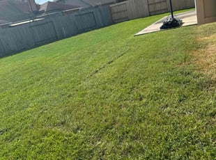 Bush Trimming by Ana Zelaya for Reginald S. in Richmond, TX