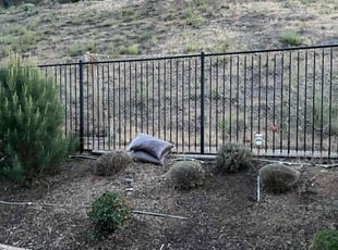 Bush Trimming by Nicholas Krahling for Jennifer C. in San Jacinto, CA