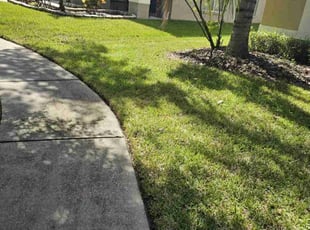 Raquel C.'s Lawn Service service result