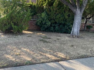 Cleanups by Randy Carver for Melissa R. in Orangevale, CA
