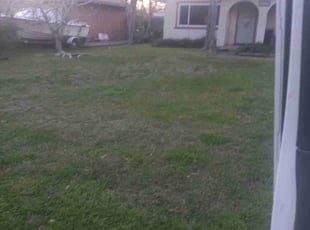 Leaf Removal by Daniel Sullivan for Mike B. in Sheridan, CA
