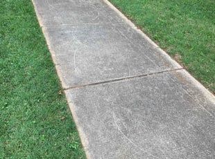 Weeding by Tru Truesdale for Cate V. in Charlotte, NC