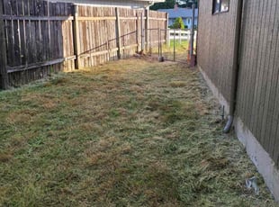 Cleanups by Dustin Hamm for Villiam K. in Vancouver, WA
