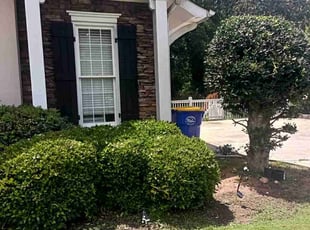 Bush Trimming by Enrique Juarez for Jacklyn P. in Kennesaw, GA