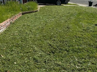 Robert B.'s Lawn Care service result