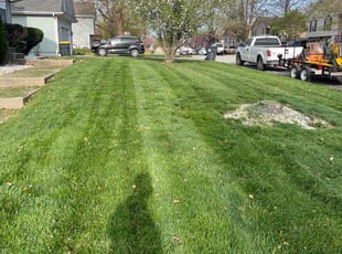 John Y.'s Lawn Mowing service result